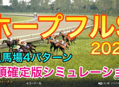 ホープフルステークス2025 枠順確定版 《良馬場4パターン》【 競馬予想 】【 ホープフルS2025 予想 】