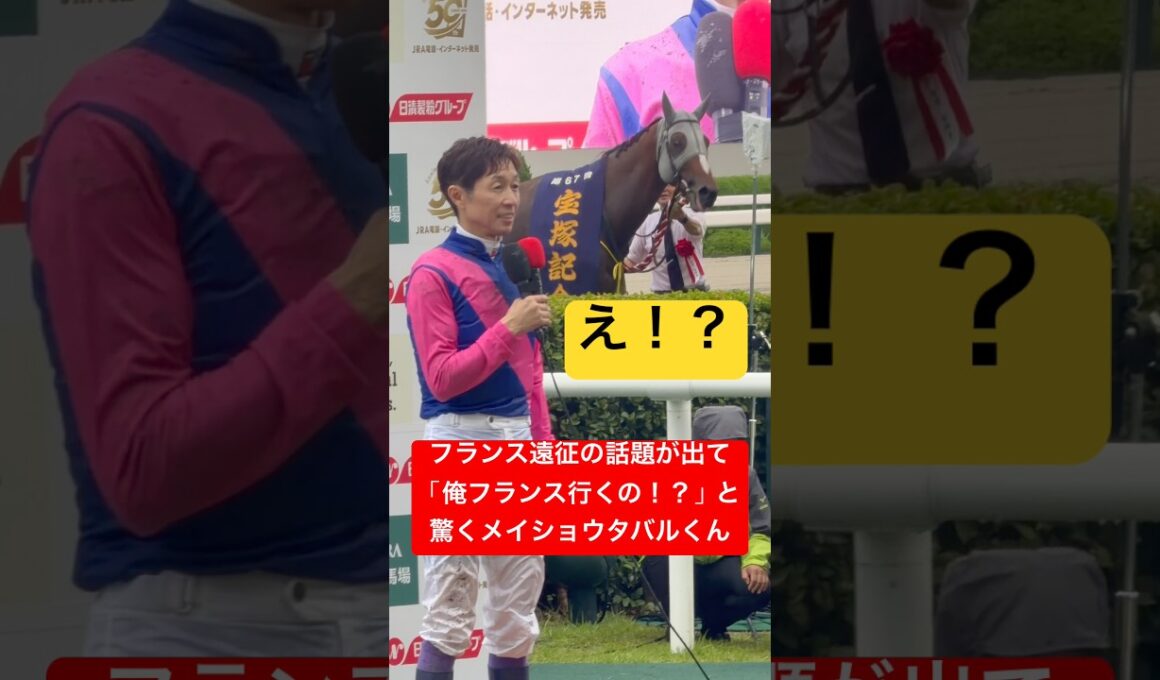 【メイショウタバル】 武豊騎手が秋に凱旋門賞挑戦を示唆するコメントをして「俺はフランスに行くのか！？」と言わんばかりに振り向く #宝塚記念 #武豊 #メイショウタバル #競馬 #shorts