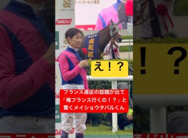 【メイショウタバル】 武豊騎手が秋に凱旋門賞挑戦を示唆するコメントをして「俺はフランスに行くのか！？」と言わんばかりに振り向く #宝塚記念 #武豊 #メイショウタバル #競馬 #shorts