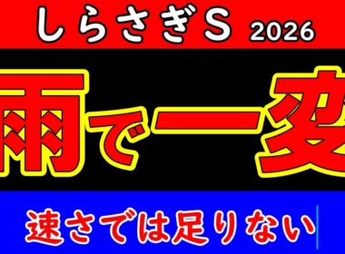 しらさぎステークス2026最終予想｜雨の阪神で評価一変 速さでは足りない 最後まで残る本命馬を公開【GⅢ】