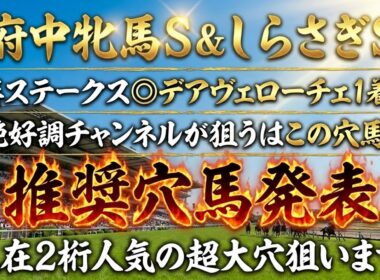 【府中牝馬S＆しらさぎS】推奨穴馬発表！どちらも現在2桁人気の超大穴狙います！さすがにこの2頭舐められすぎ！？