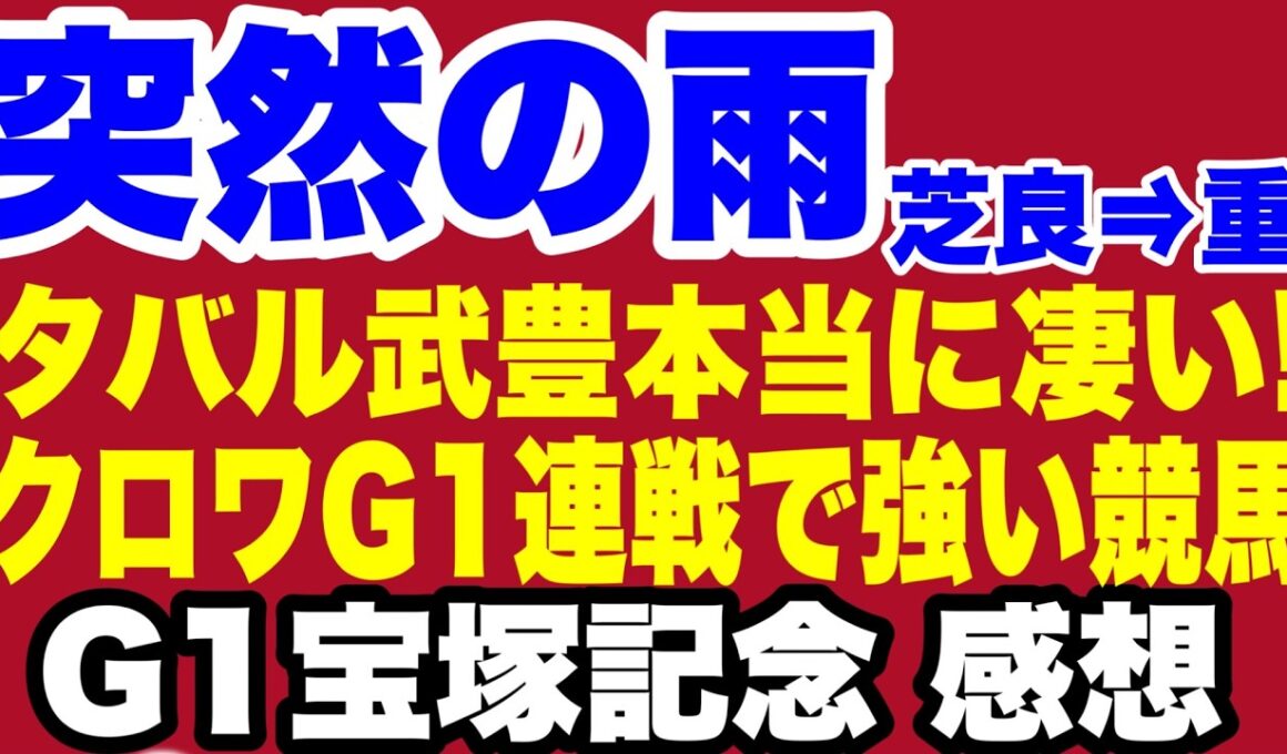 【宝塚記念】タバルの為の恵みの雨・豊マジック・クロワ連戦で強い競馬・デサイル強い強い3着【上半期G1お疲れさまでした】