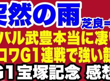 【宝塚記念】タバルの為の恵みの雨・豊マジック・クロワ連戦で強い競馬・デサイル強い強い3着【上半期G1お疲れさまでした】