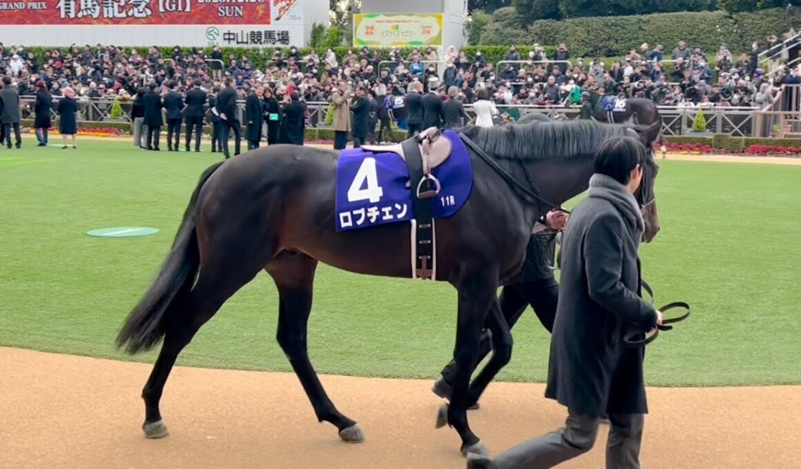 【G1】ホープフルステークス ロブチェン 全頭パドック2025年12月27日(土曜) 5回中山7日11R中山競馬場