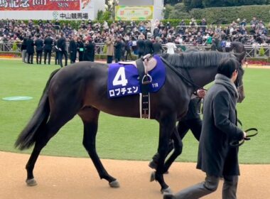 【G1】ホープフルステークス ロブチェン 全頭パドック2025年12月27日(土曜) 5回中山7日11R中山競馬場