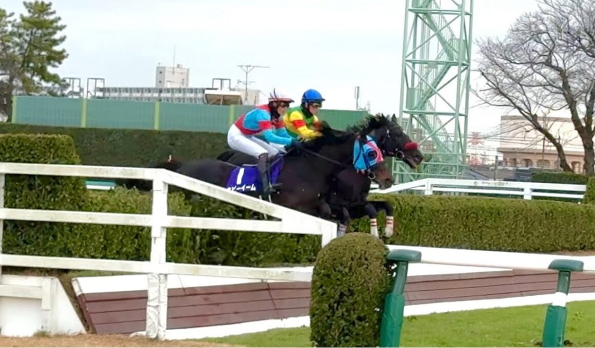 中山大障害現地観戦　最後のジャンプとゴール後の雰囲気
