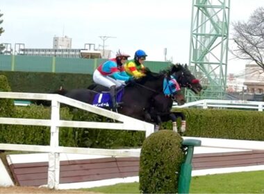 中山大障害現地観戦　最後のジャンプとゴール後の雰囲気
