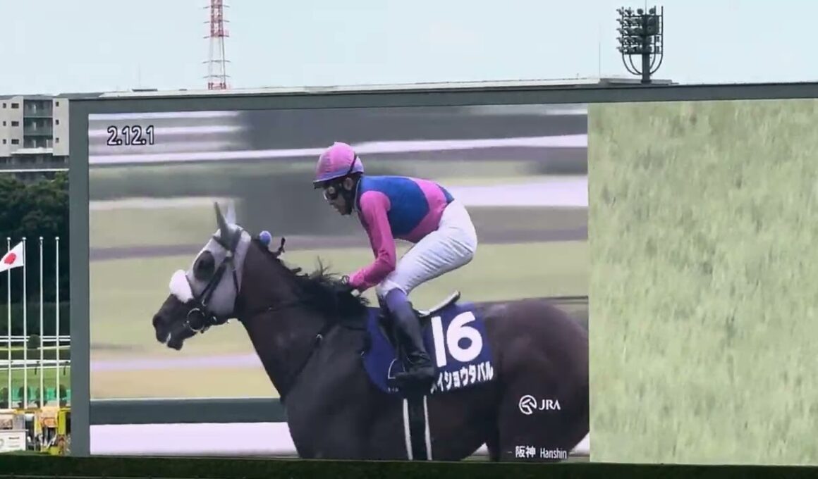 第67回宝塚記念（東京競馬場ターフビジョンから）