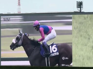 第67回宝塚記念（東京競馬場ターフビジョンから）