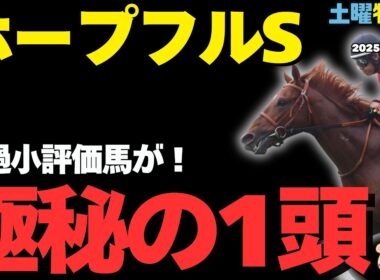 【土曜特別R穴馬まとめ】ホープフルS、超意外な勝率上位の激走候補とは？【阪神カップ/競馬予想2025】