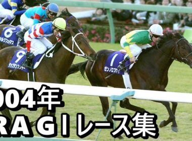 【データ付き】2004年 JRA G１ レース集