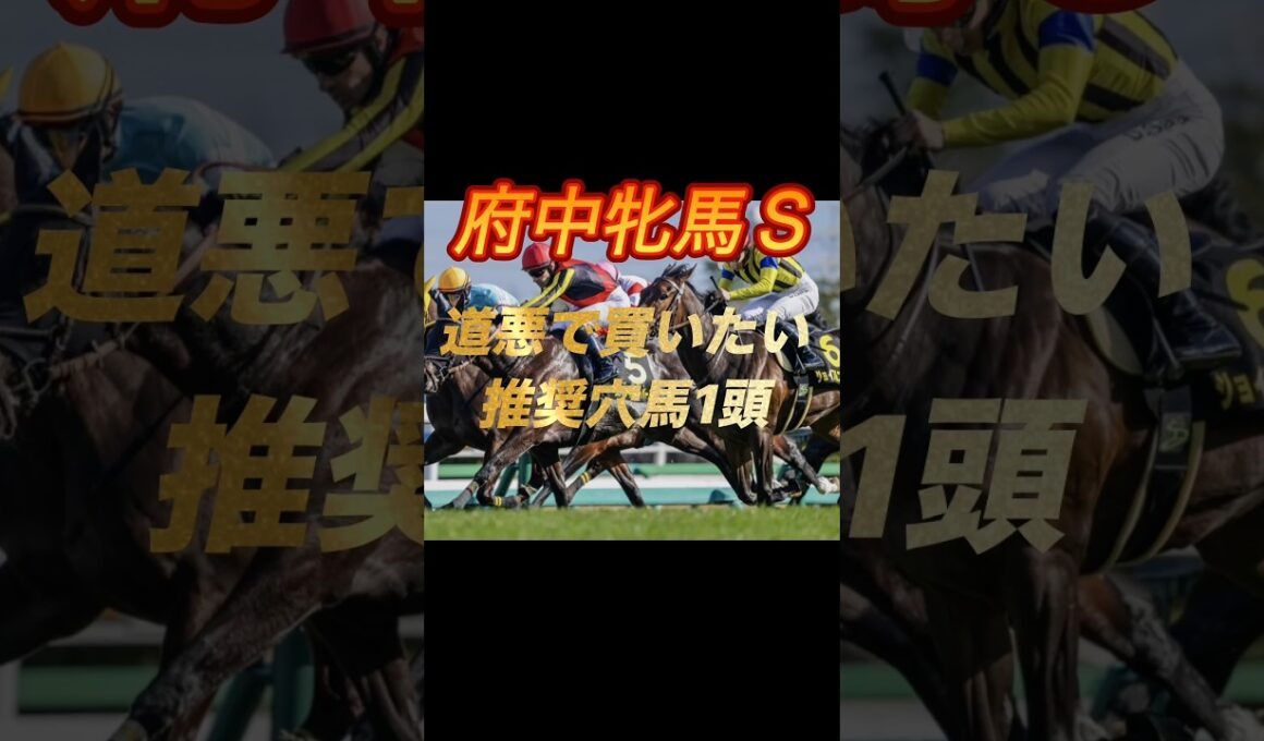 府中牝馬ステークス2026 道悪で買いたい推奨穴馬1頭紹介　見事1着！