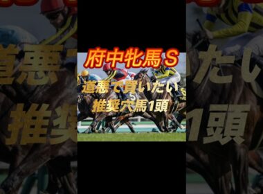 府中牝馬ステークス2026 道悪で買いたい推奨穴馬1頭紹介　見事1着！