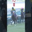 有馬記念　ドウデュース　武豊