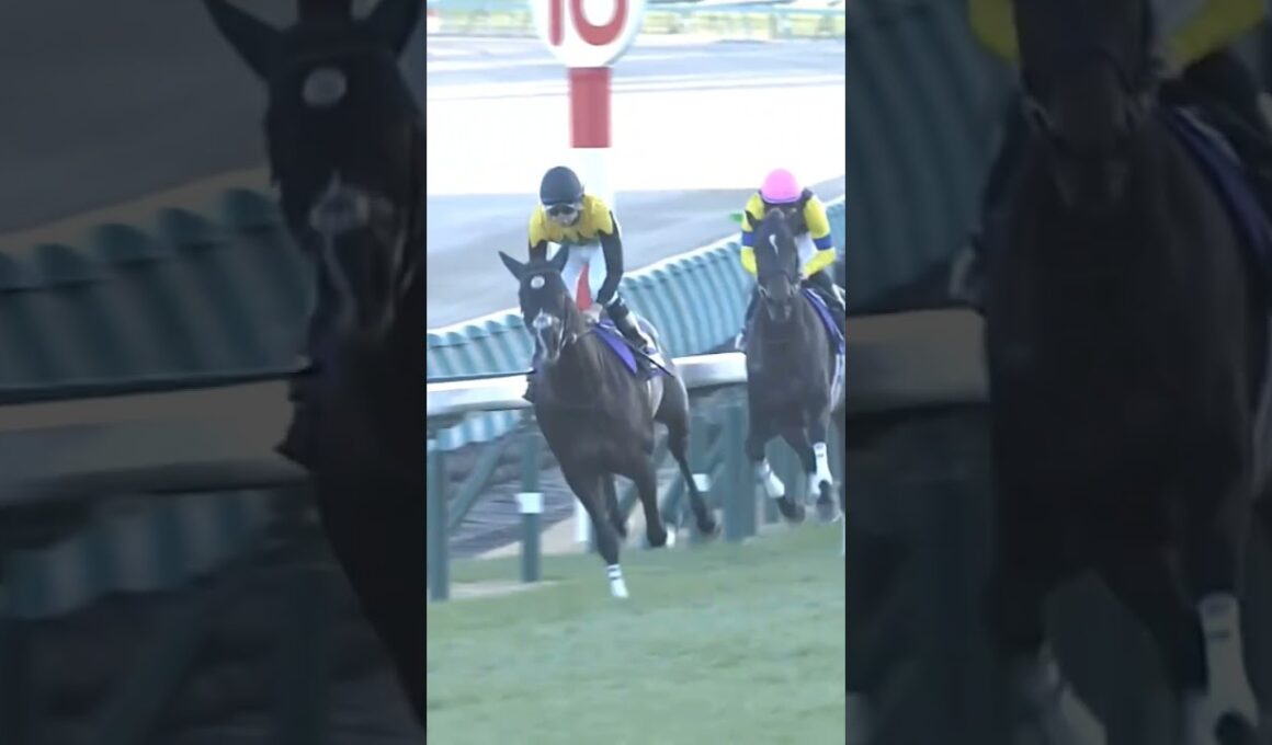 有馬記念　ドウデュース　武豊