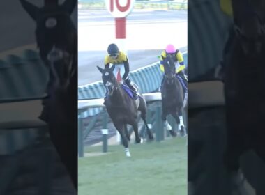 有馬記念　ドウデュース　武豊