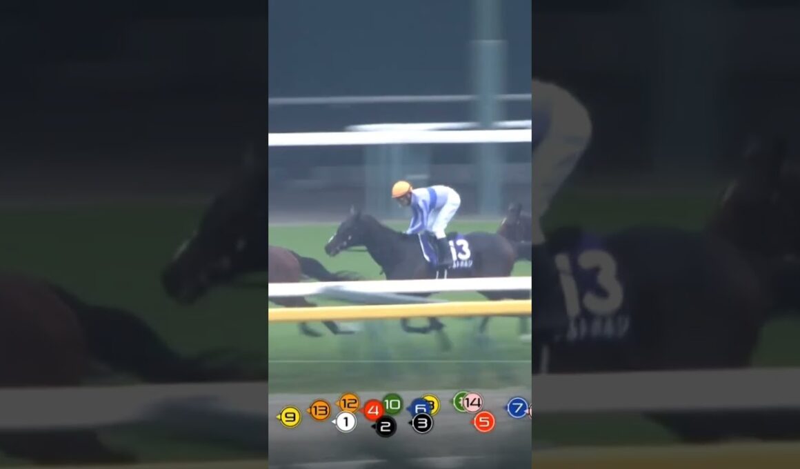 天皇賞(秋)　ドウデュース　武豊