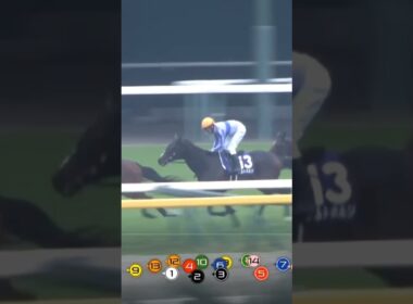 天皇賞(秋)　ドウデュース　武豊