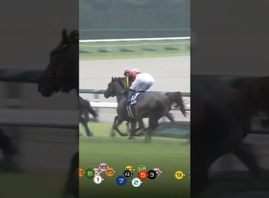 宝塚記念2026　メイショウタバル　武豊