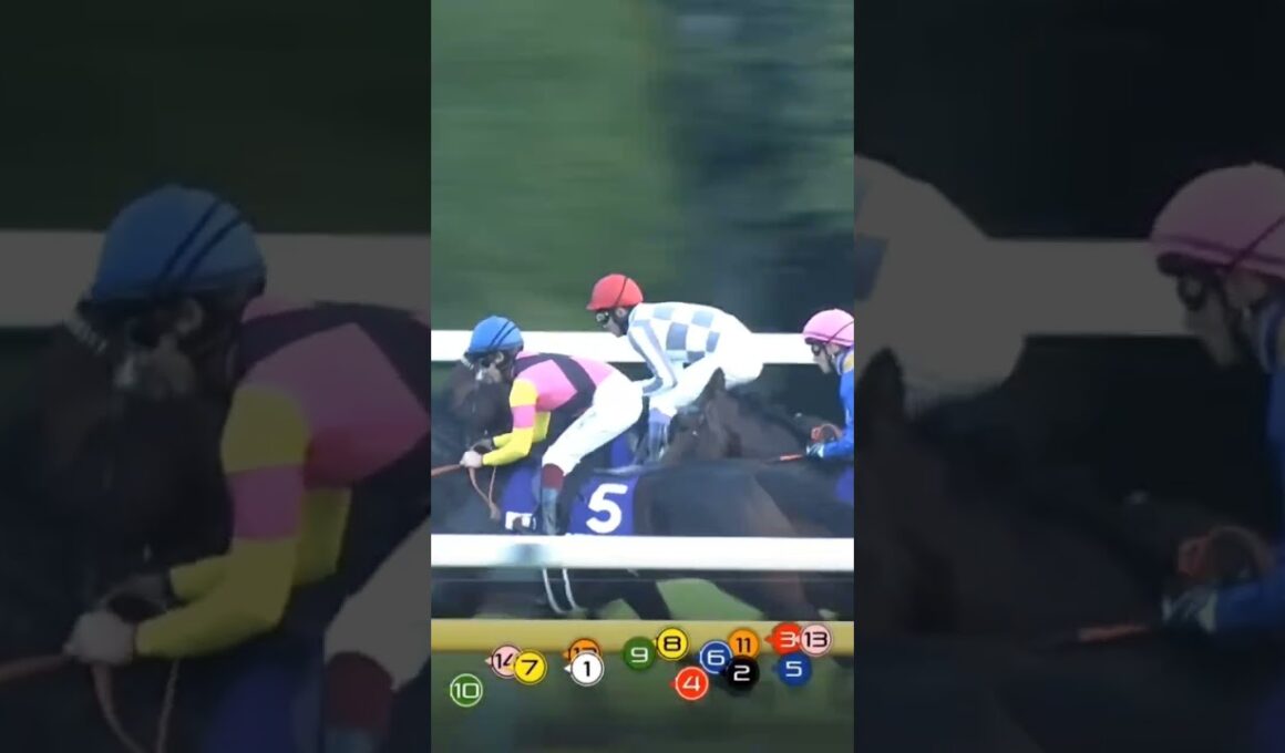 ジャパンカップ　ドウデュース　武豊