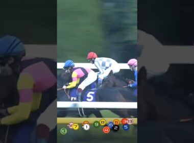 ジャパンカップ　ドウデュース　武豊