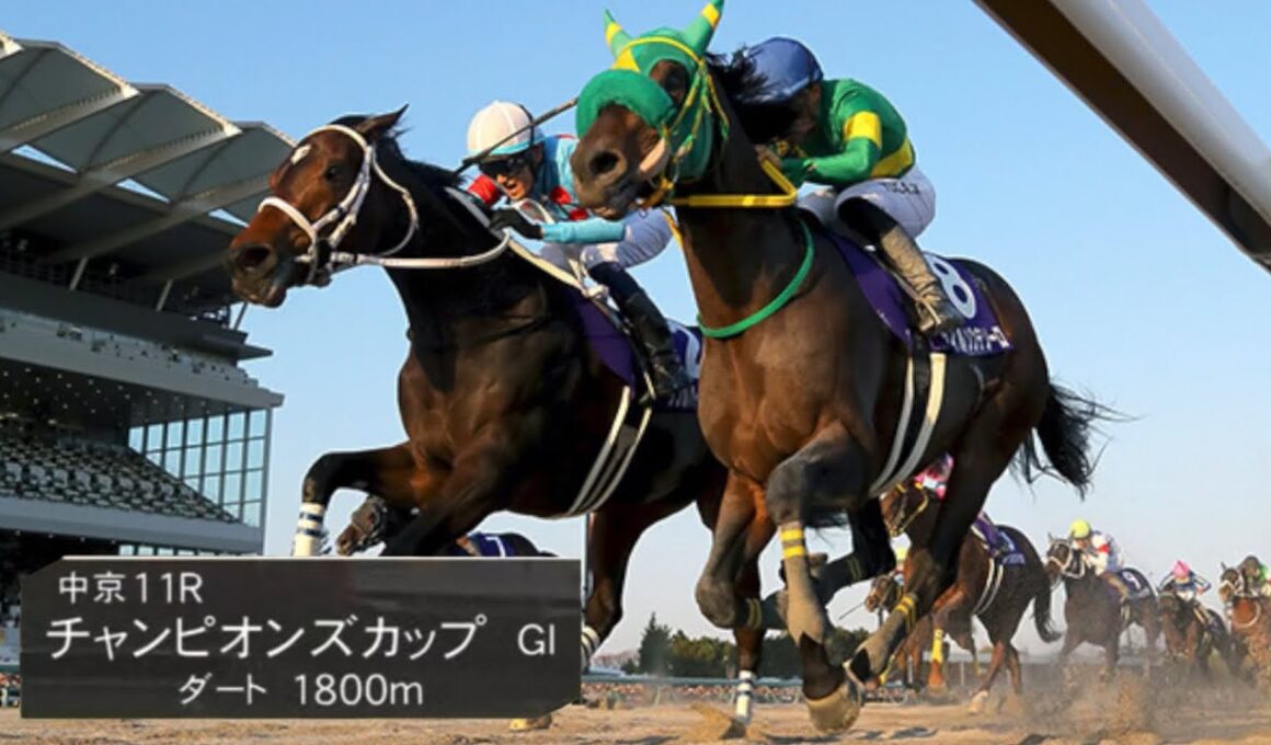 2025年第26回チャンピオンズカップ（G1）本馬場入場(修正版)