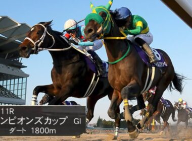 2025年第26回チャンピオンズカップ（G1）本馬場入場(修正版)