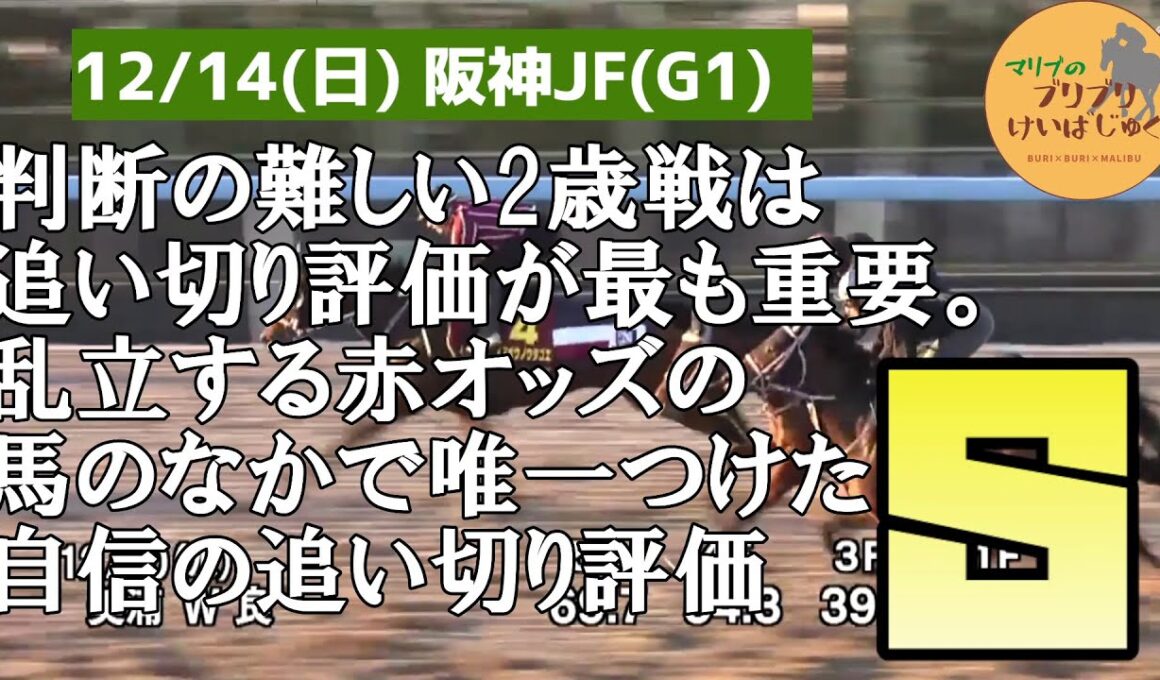 2025年阪神JF★最終追い切り全頭評価【マリブのブリブリ競馬塾】【阪神ジュベナイルフィリーズ】