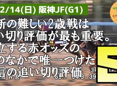 2025年阪神JF★最終追い切り全頭評価【マリブのブリブリ競馬塾】【阪神ジュベナイルフィリーズ】