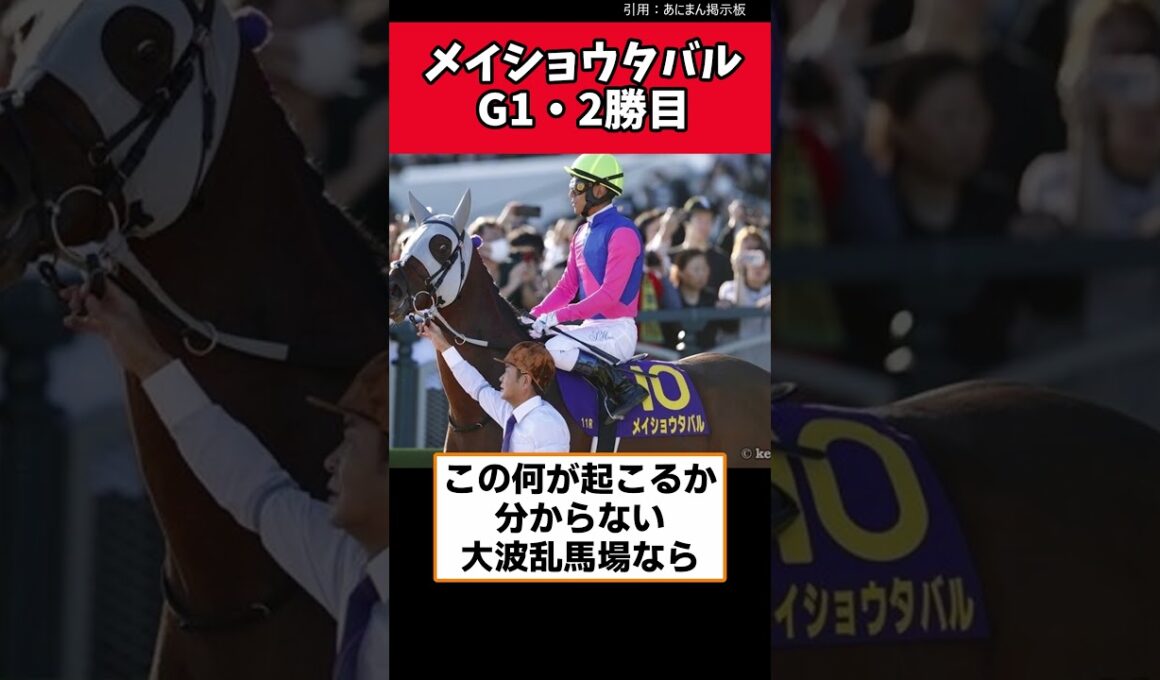 メイショウタバルG1・2勝目！！　#宝塚記念　#メイショウタバル