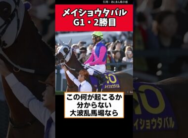 メイショウタバルG1・2勝目！！　#宝塚記念　#メイショウタバル