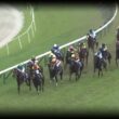 競馬界のエース
