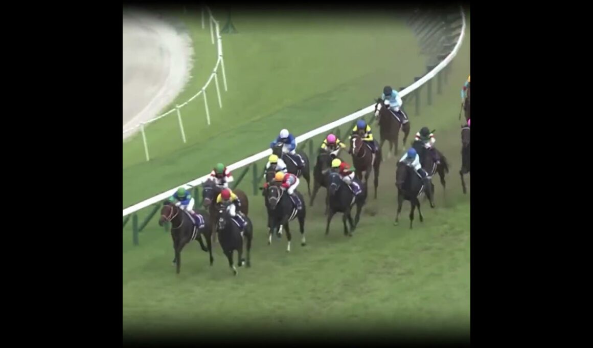 競馬界のエース
