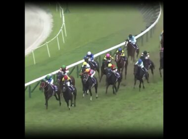 競馬界のエース