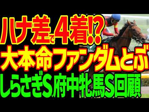 【ハナ差逆神】絶対に来ない！エコロアルバに大本命ファンダムの3着高配当が邪魔され…浜中俊のセキトバイースト！？ルメールのヴァルキリーバース沈没！2026年しらさぎS、府中牝馬S回顧動画【競馬ゆっくり】