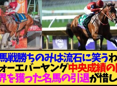 【エバヤン】フォーエバーヤング、ラストランは有馬記念か東京大賞典か…陣営の思惑が気になる【競馬】