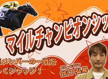 【マイルチャンピオンシップ2025展望】タニーズ劇場開幕。美浦TM・谷口弘晃がほぼ全ての出走馬を徹底解説。