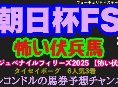 【朝日杯フューチュリティステークス2025予想】エルコンドルの怖い伏兵馬3選！無敗人気馬vsキャリア浅い2歳馬｜雨で波乱も？