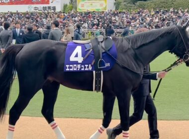 【JG1】中山大障害エコロデュエル全頭パドック2025年12月27日(土曜) 5回中山7日10R中山競馬場