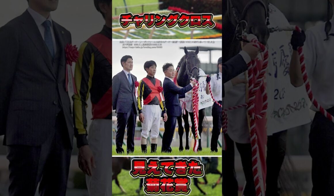 【町田特別2026】チャリングクロスが菊花賞へ駒を進める！　#shorts #競馬 #競馬予想 #中央競馬予想 #チャリングクロス #クロワデュノール #菊花賞 #馬