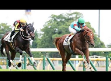 🐎✨父サリオスの魂を継ぐ！タクティシアン衝撃デビューで競馬界騒然！