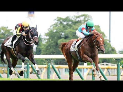 🐎✨父サリオスの魂を継ぐ！タクティシアン衝撃デビューで競馬界騒然！