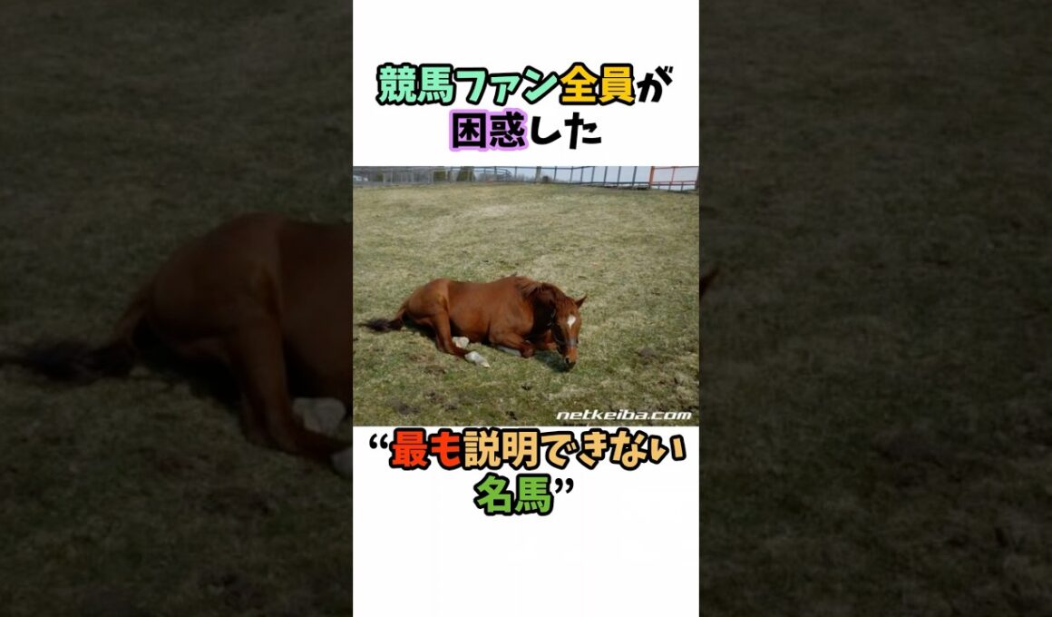 競馬ファン全員が困惑した“最も説明できない名馬” #競馬#horse