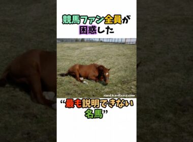 競馬ファン全員が困惑した“最も説明できない名馬” #競馬#horse