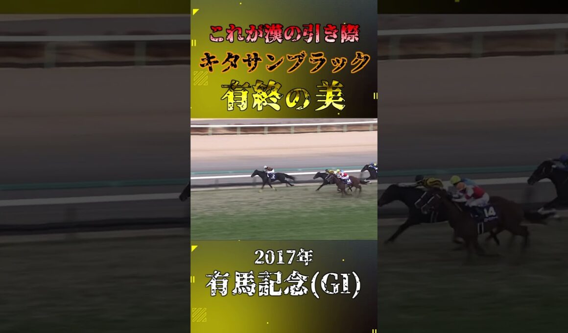 キタサンブラック【2017年有馬記念(GI)】#競馬 #shorts #有馬記念 #キタサンブラック