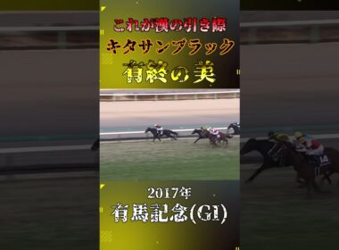 キタサンブラック【2017年有馬記念(GI)】#競馬 #shorts #有馬記念 #キタサンブラック