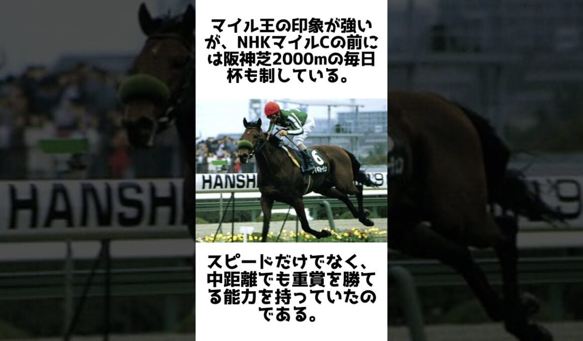 初代NHKマイル王！タイキフォーチュンの雑学5選 #競馬 #shorts #1分雑学 #馬 #タイキフォーチュン