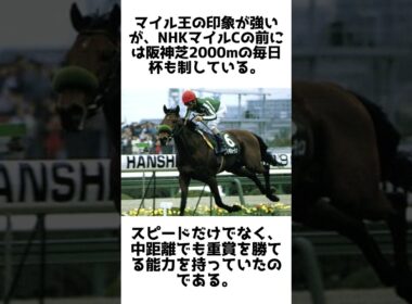 初代NHKマイル王！タイキフォーチュンの雑学5選 #競馬 #shorts #1分雑学 #馬 #タイキフォーチュン