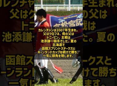 父クロフネの快速牝馬カレンチャン 夏の函館から短距離GI2勝の女王へ #Shorts