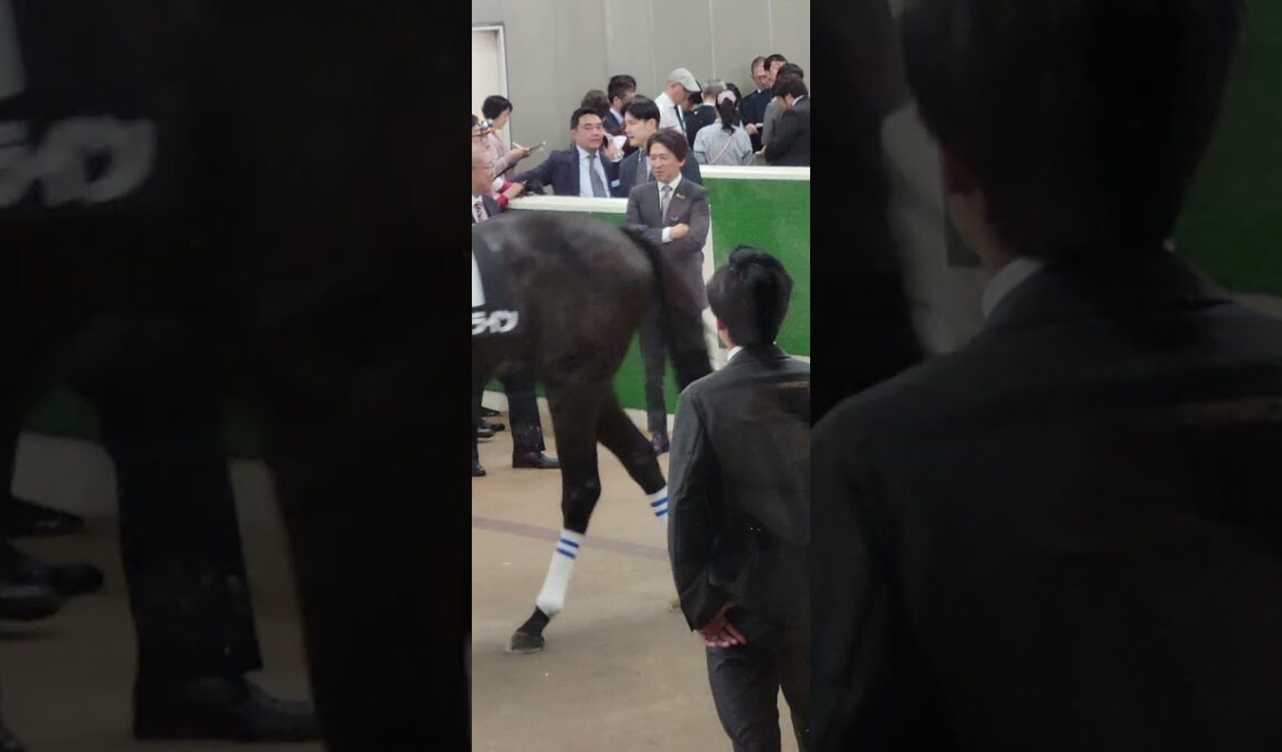 【NHKマイルカップ】3人気ダイヤモンドノットが敗れた後の福永調教師の様子